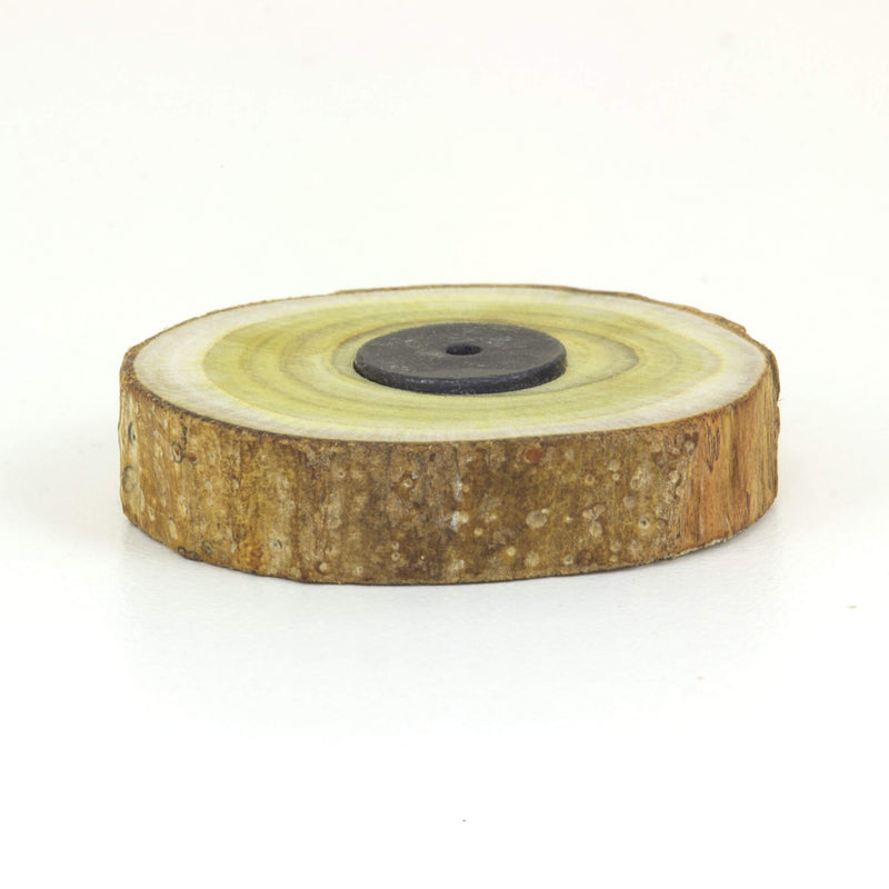Sumac Tree Cookie Magnet