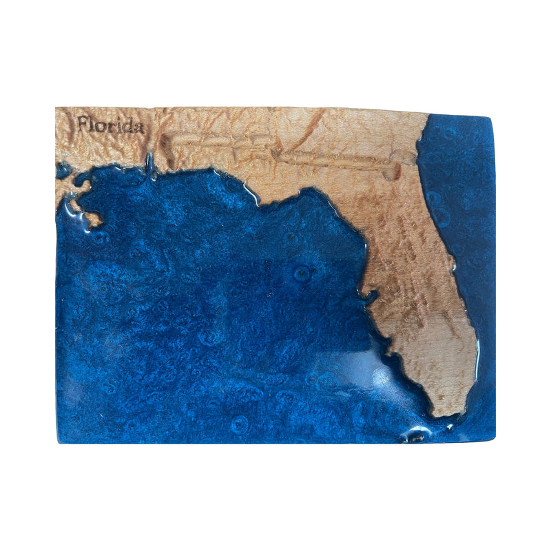 Florida State 3D Topographic Relief Map | FL Gifts